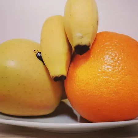 B&B La Casetta Fiorita 볼로냐